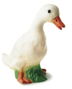 Duck_2